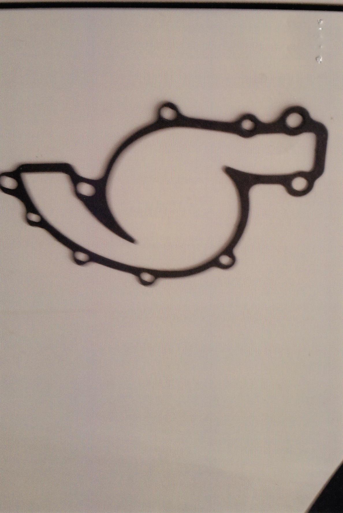 VR COMMODORE WATER PUMP GASKET JPM5165998 JUST PARTS