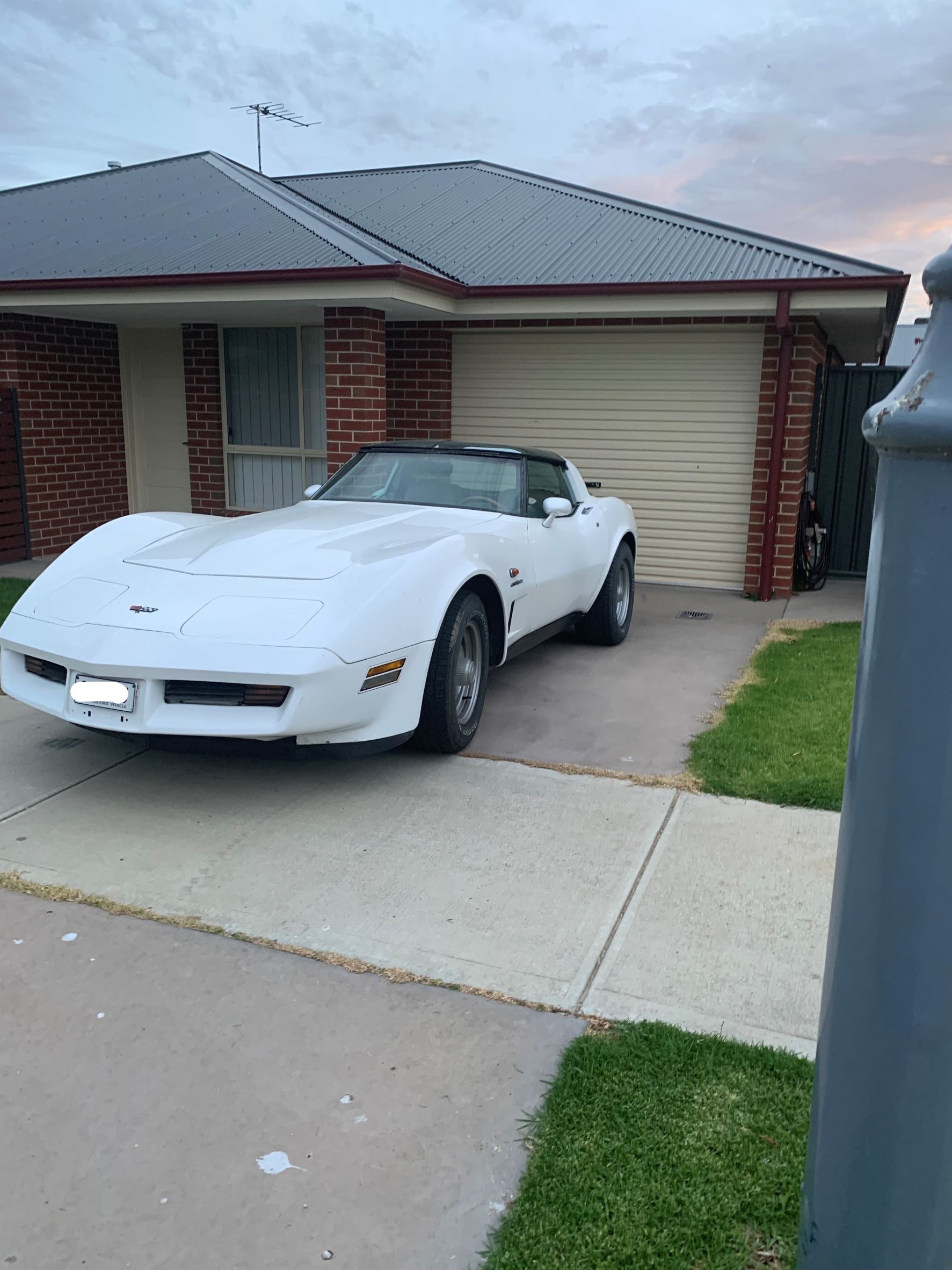 1982 CHEVROLET CORVETTE STINGRAY CROSSFIRE TARGA - JCW5248888 - JUST CARS