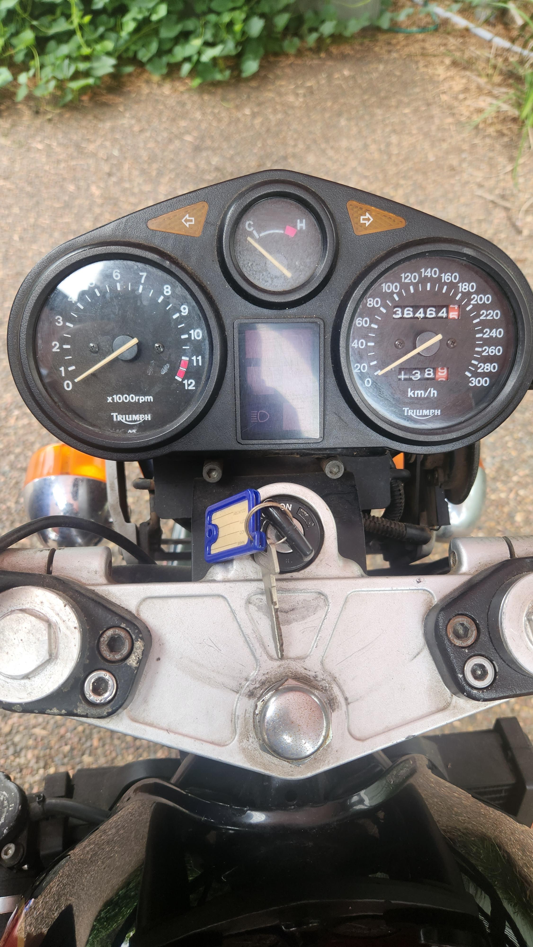 triumph trident 1995