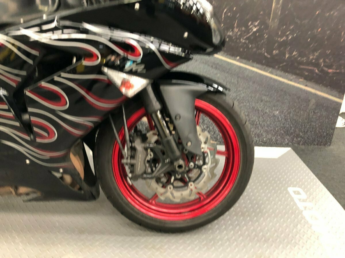 ☆YRS☆ LOT 14 MID OCTOBER – ZA 21 KPFB 1446 BBWF – SIRE:RADR 20 726