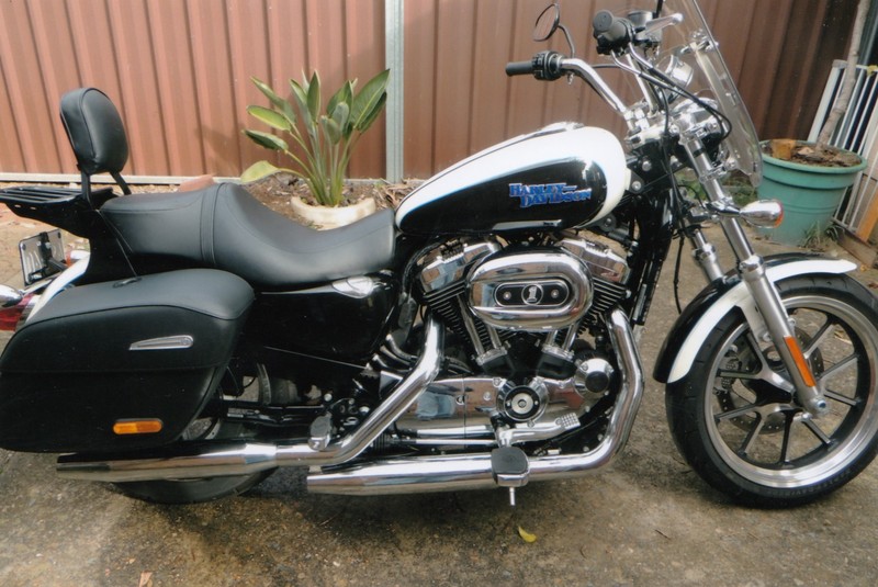 harley davidson bike 1200cc price
