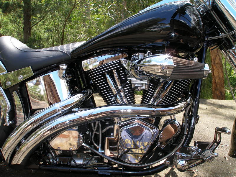 1998 HARLEYDAVIDSON 1340CC FXSTC SOFTAIL CUSTOM JBW3405000 JUST BIKES