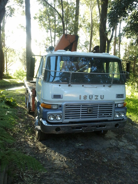 1978 ISUZU CUSTOM - JTW3887968 - JUST TRUCKS