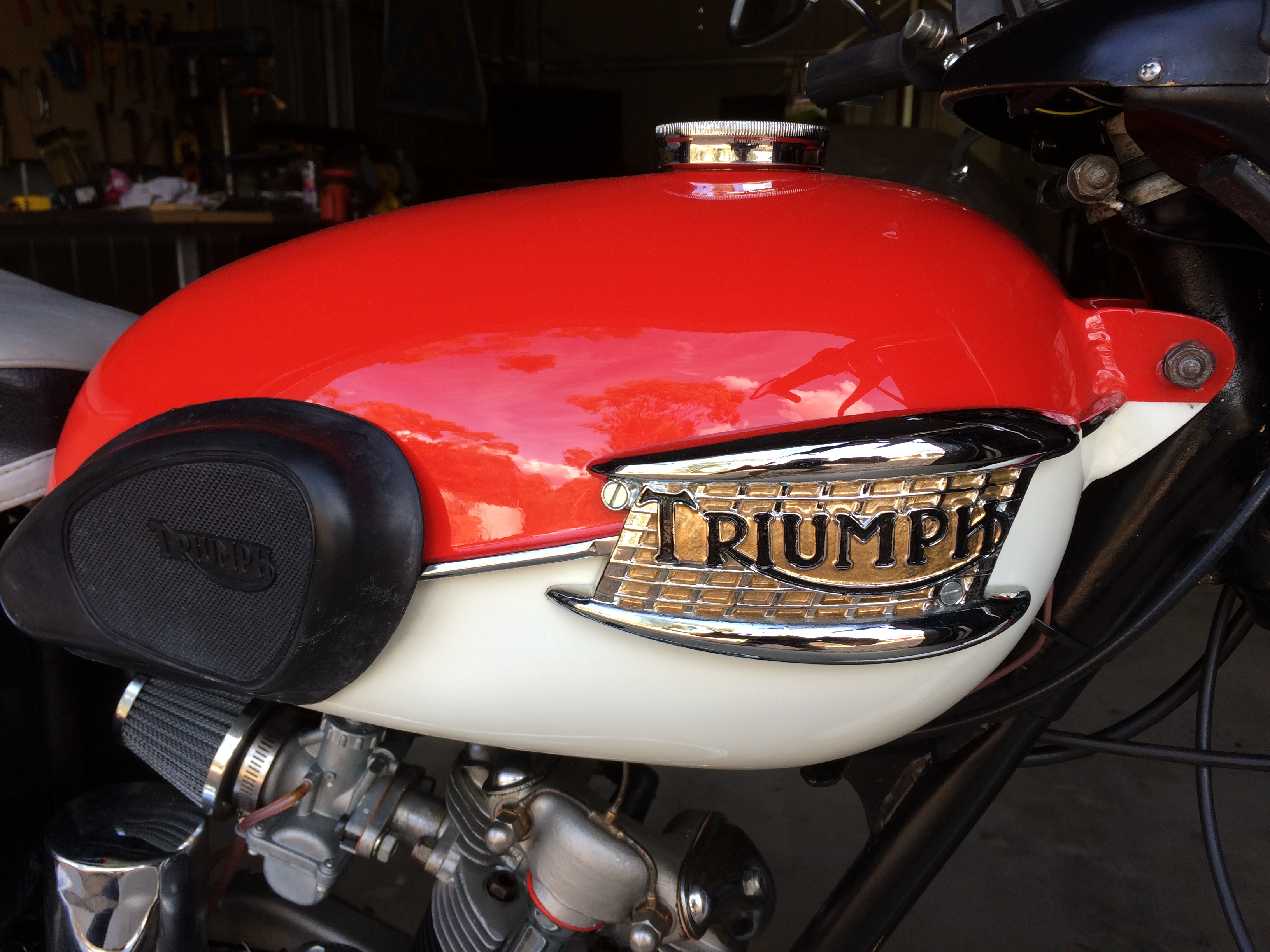 triumph tiger cub ebay