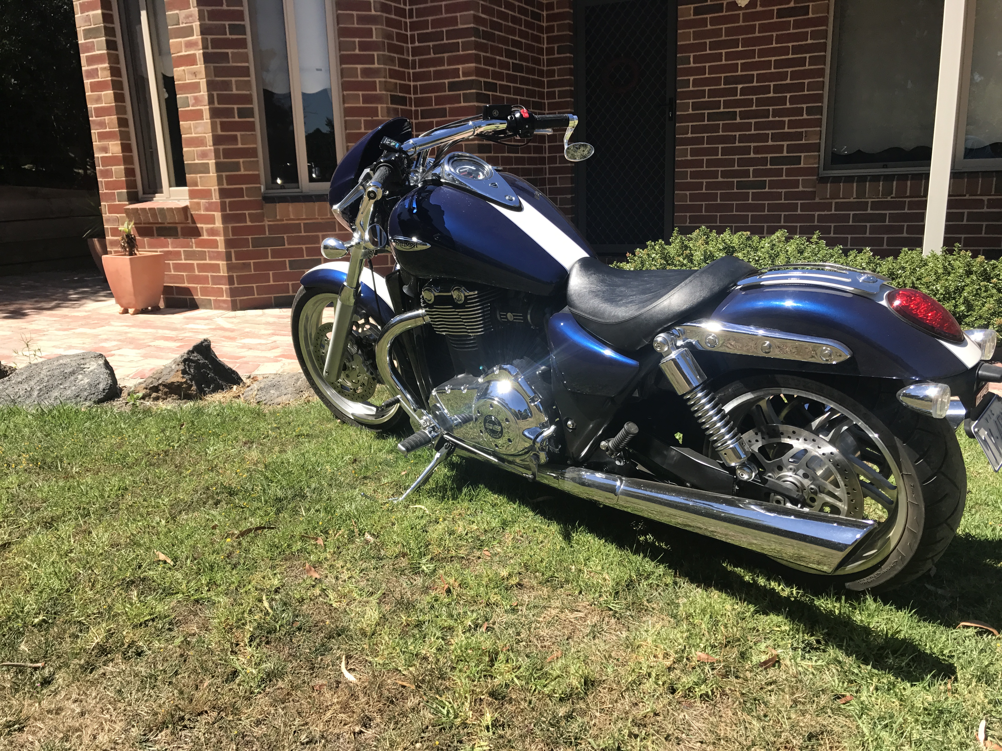 BIRD LAND 第10号 car_9465b905-0079-4f9a-aafe-