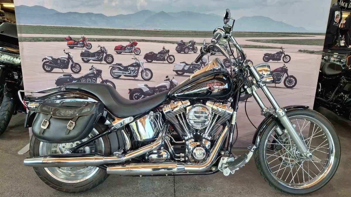 2009 harley-davidson softail custom 1584 (fxstc) cruiser