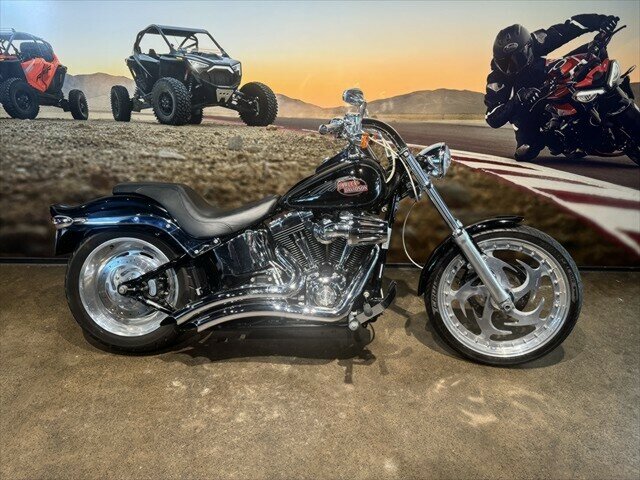 2007 harley-davidson softail custom 1584 (fxstc) cruiser