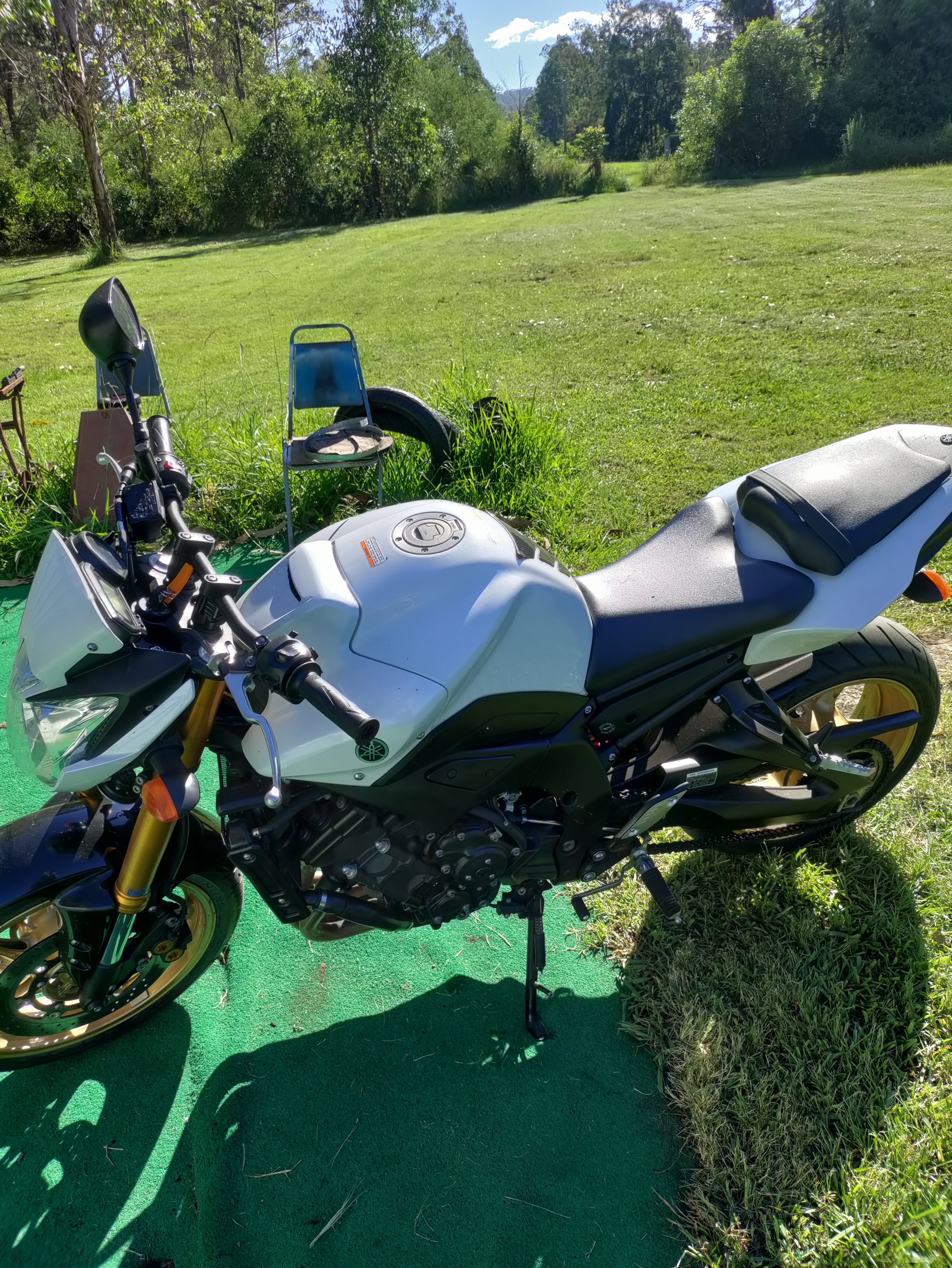 2010 yamaha fz8n sports