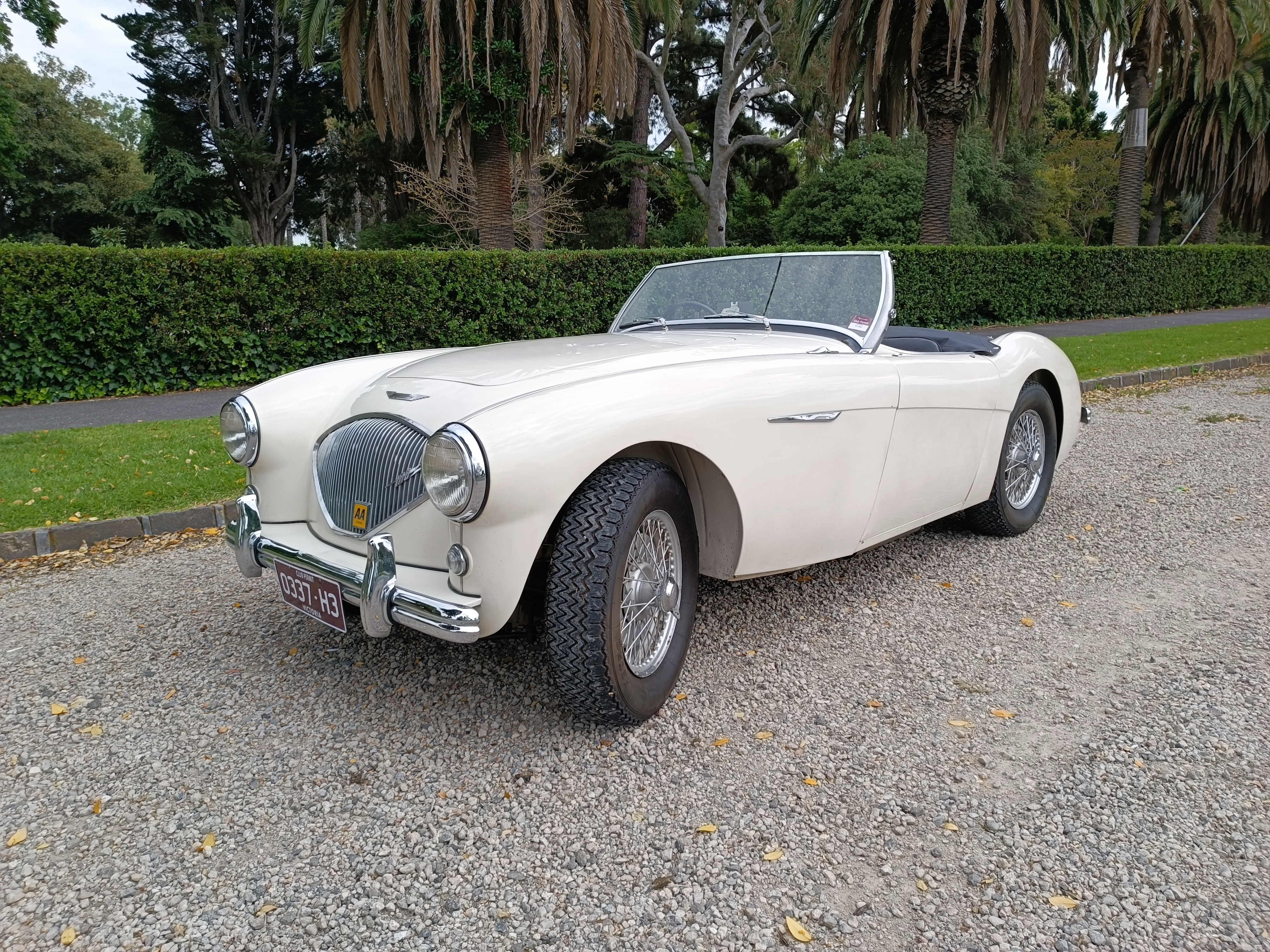 1954 austin healey 100 bn1 convertible