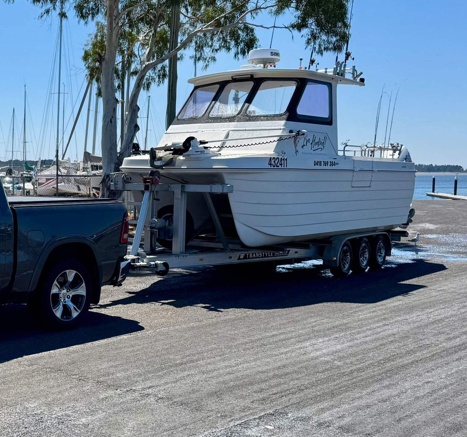 devil cat 6.6 runabout