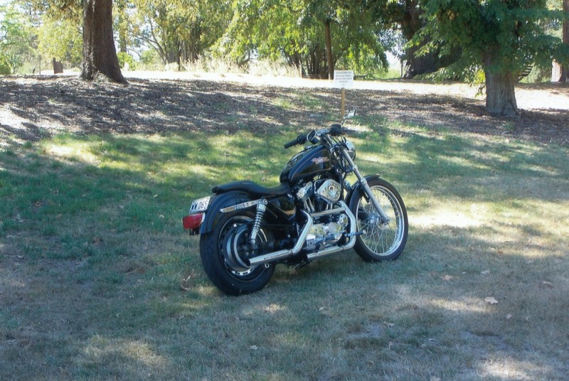 1995 harley-davidson 1200cc xl1200c sportster custom