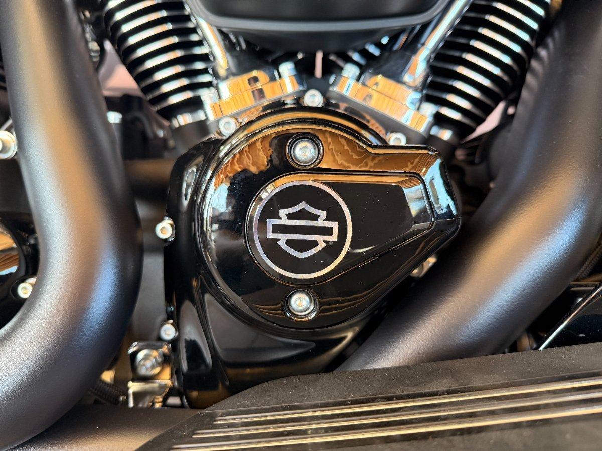 2025 HARLEY-DAVIDSON STREET GLIDE 117 (FLHX) CRUISER