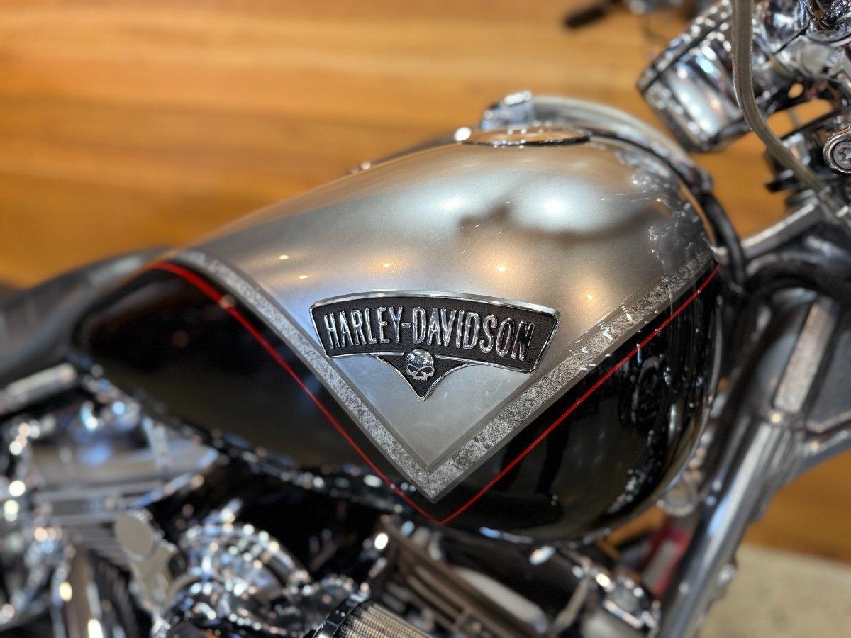 2013 HARLEY-DAVIDSON CVO BREAKOUT (FXSBSE) CRUISER