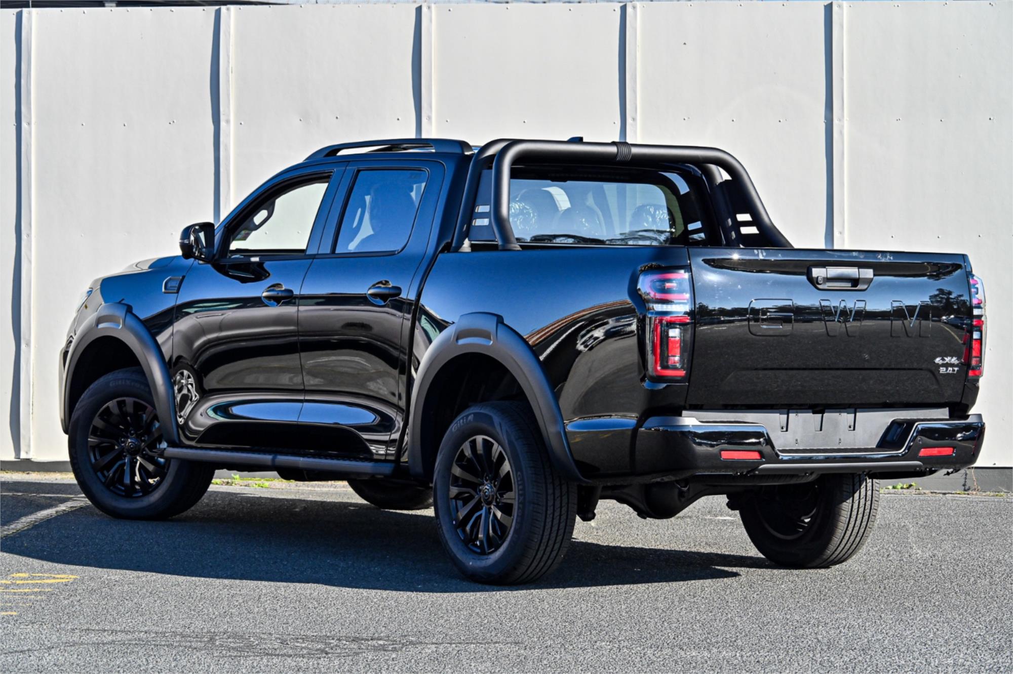 2025 GWM CANNON NPW VANTA SPORTS AUTOMATIC UTILITY