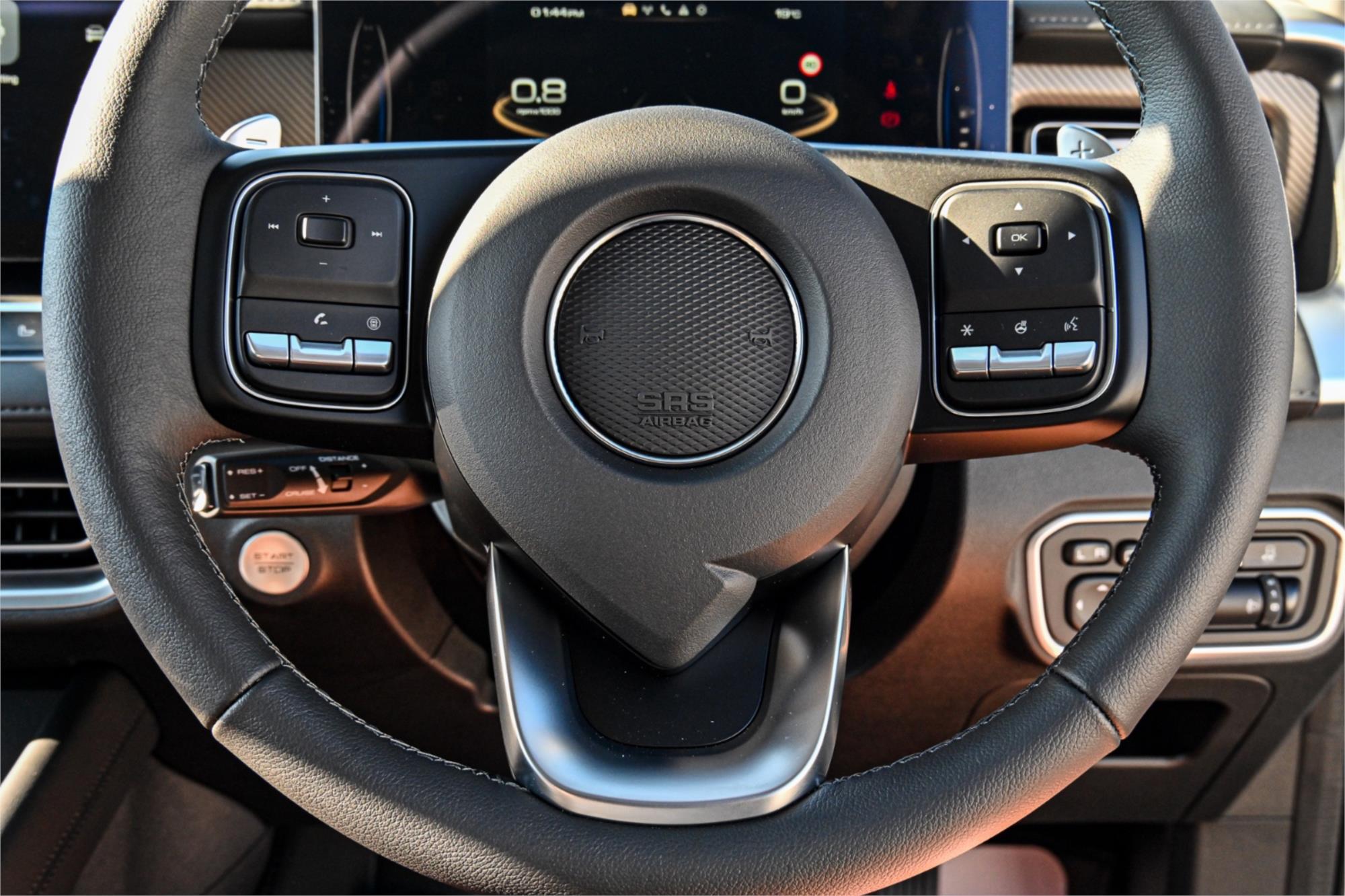 2025 GWM CANNON NPW VANTA SPORTS AUTOMATIC UTILITY