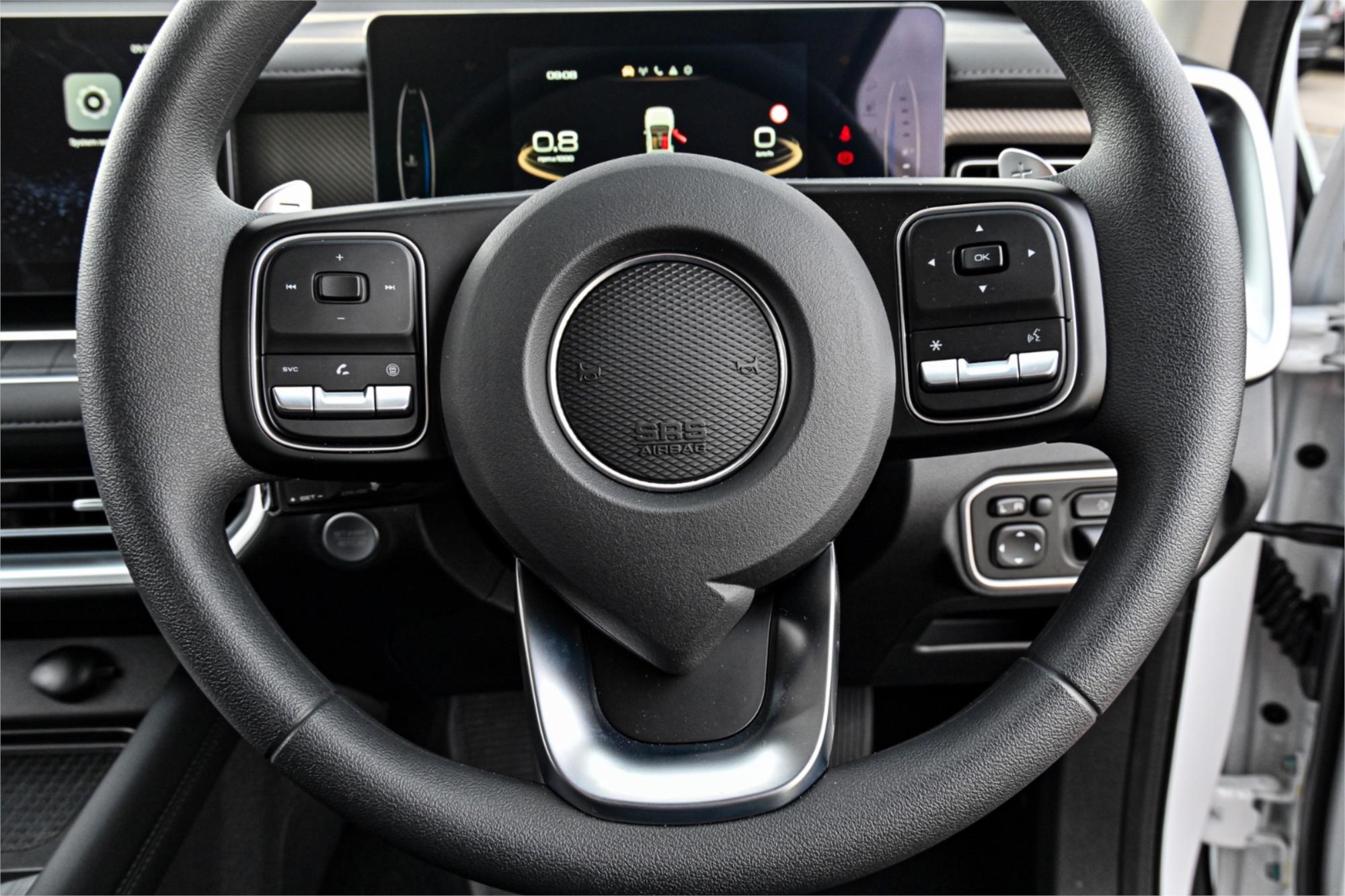 2025 GWM CANNON NPW PREMIUM SPORTS AUTOMATIC TRAYTOP