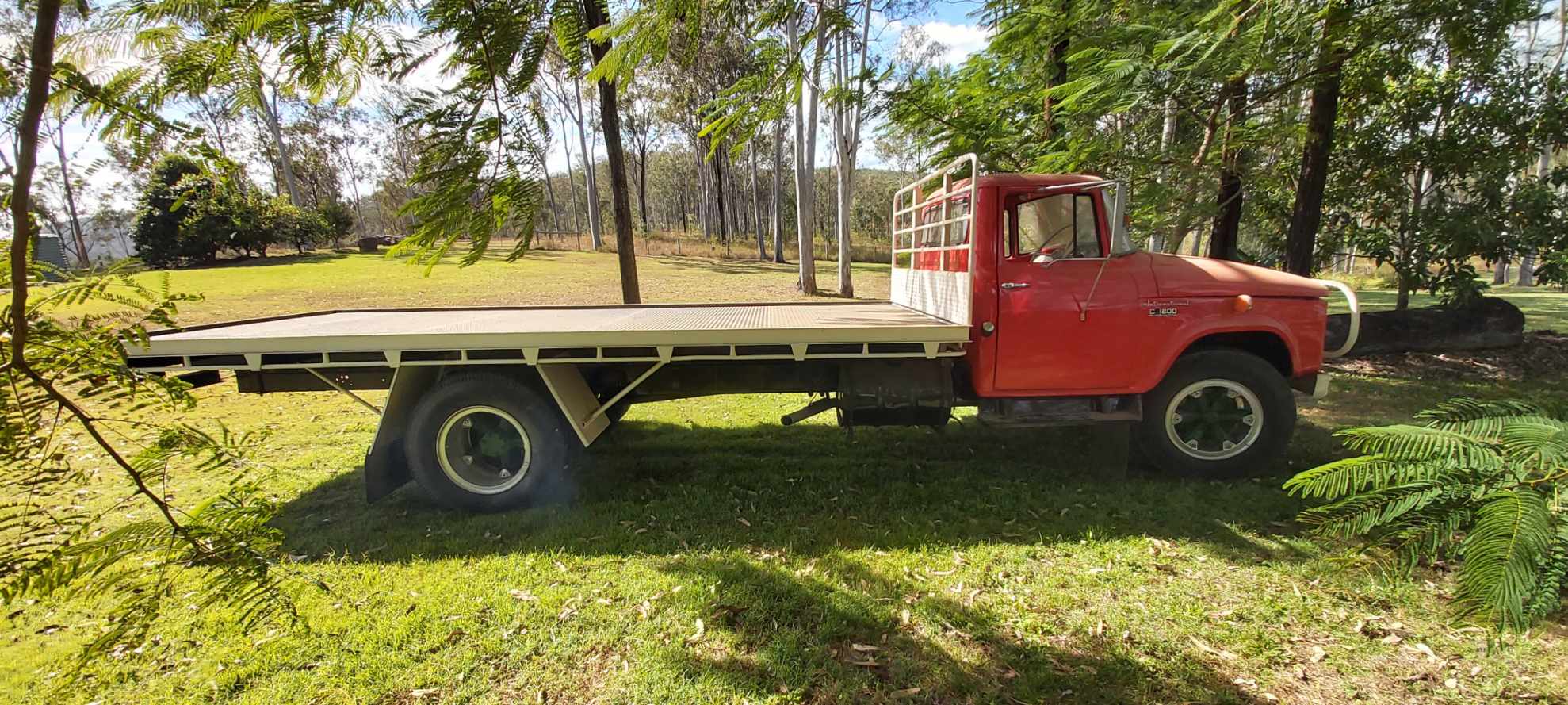 1969 INTERNATIONAL C1800 TRAY JTW5260563 JUST TRUCKS