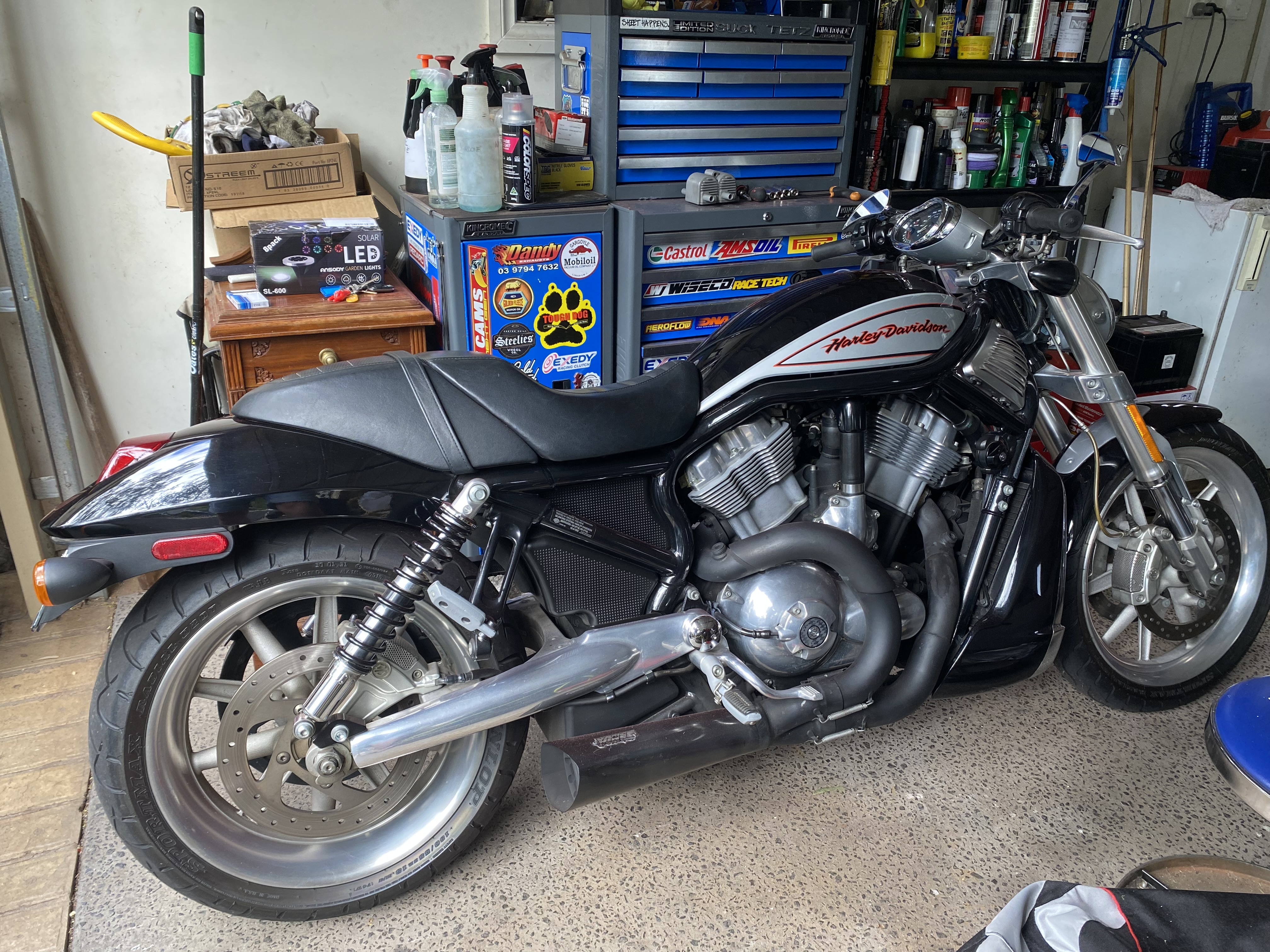 2005 HARLEY-DAVIDSON VRSCR STREET ROD CRUISER