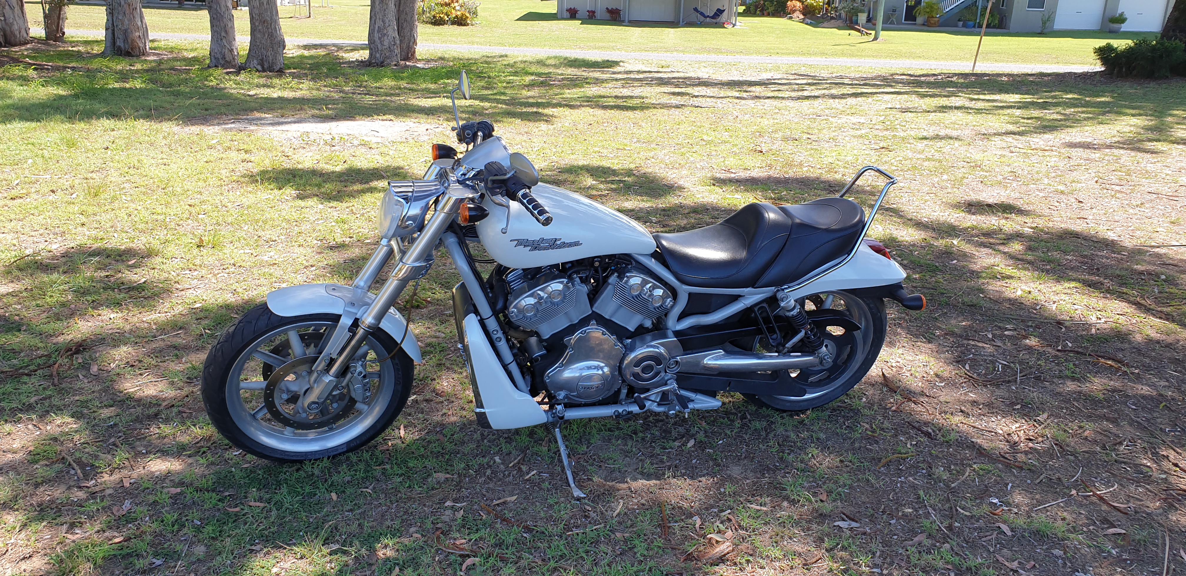 2005 HARLEY-DAVIDSON VRSCR STREET ROD CRUISER