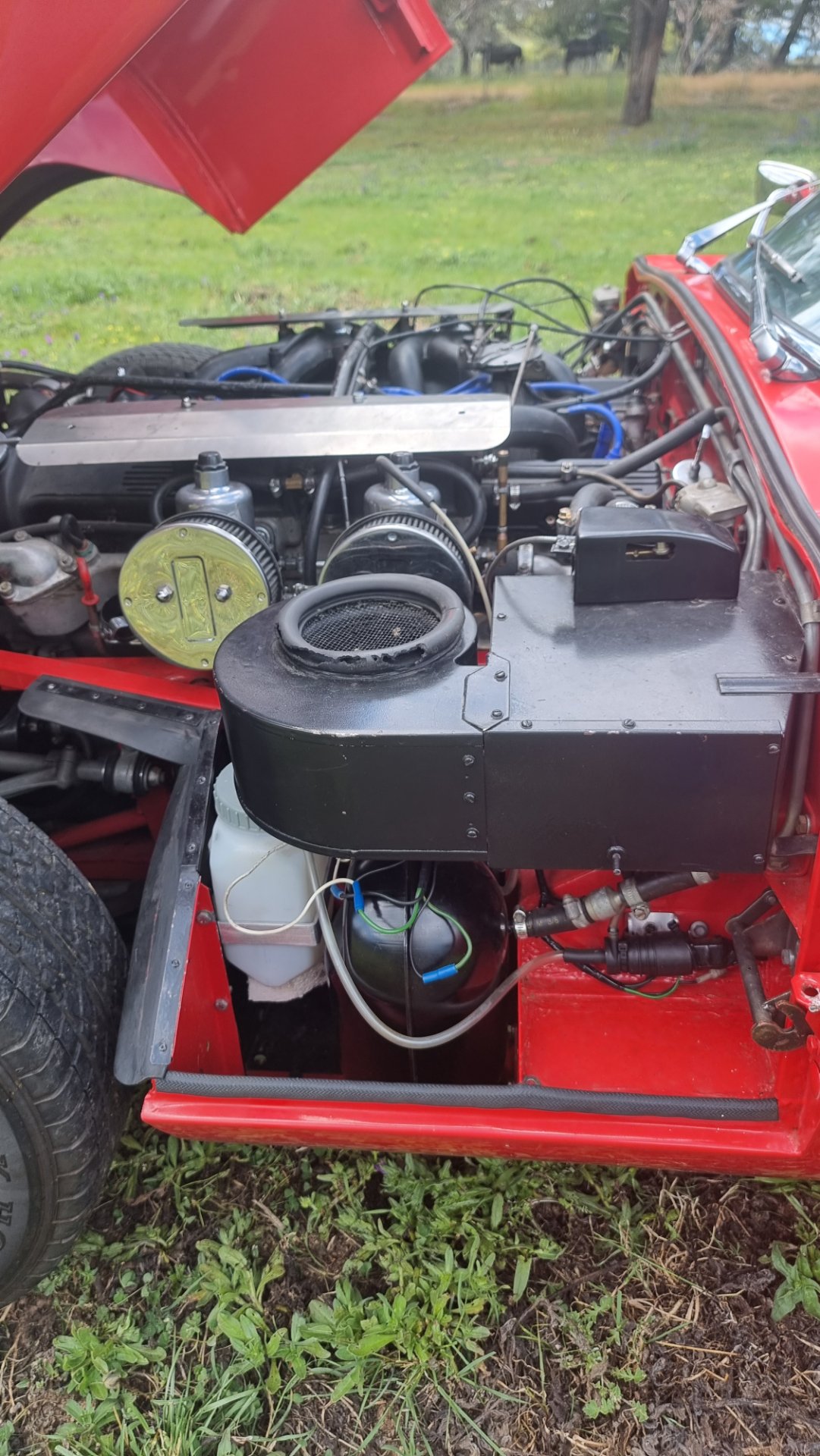 1972 E-Type Series 3 2+2 V12