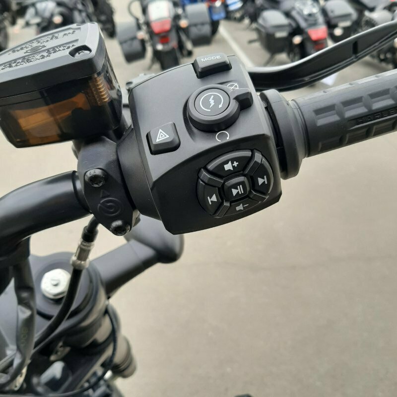 2022 HARLEY-DAVIDSON SPORTSTER S CRUISER