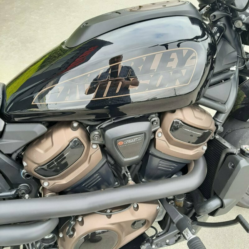 2022 HARLEY-DAVIDSON SPORTSTER S CRUISER