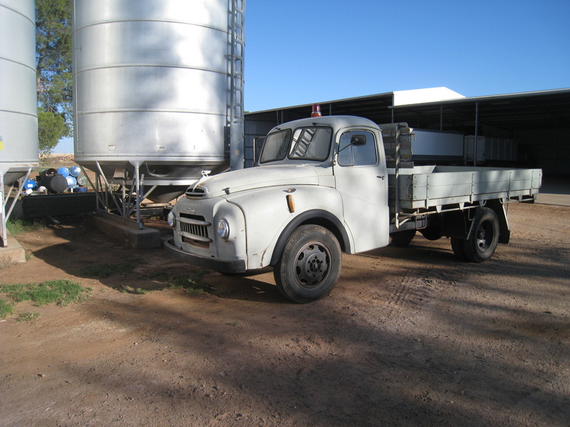1964 AUSTIN