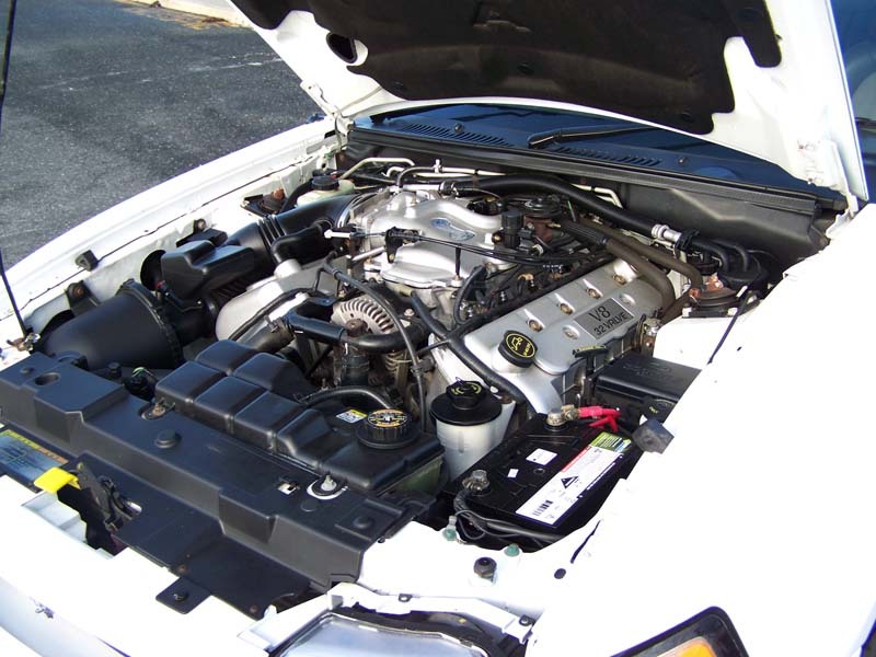 2001 FORD MUSTANG COBRA