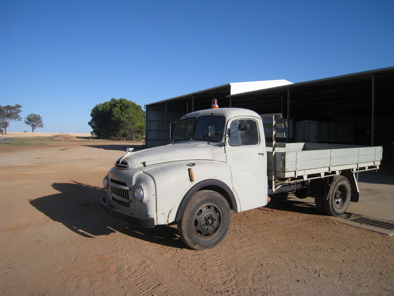 1964 AUSTIN