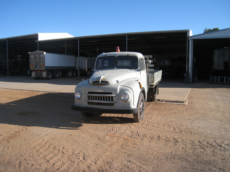 1964 AUSTIN