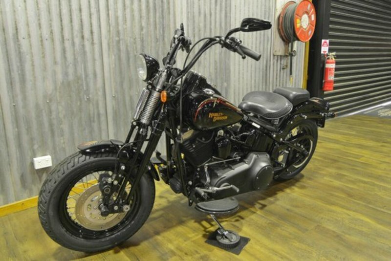 2009 HARLEY-DAVIDSON 1600CC FLSTSB SOFTAIL CROSS BONES MY09