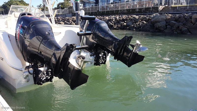 World Cat 250 Dual Console