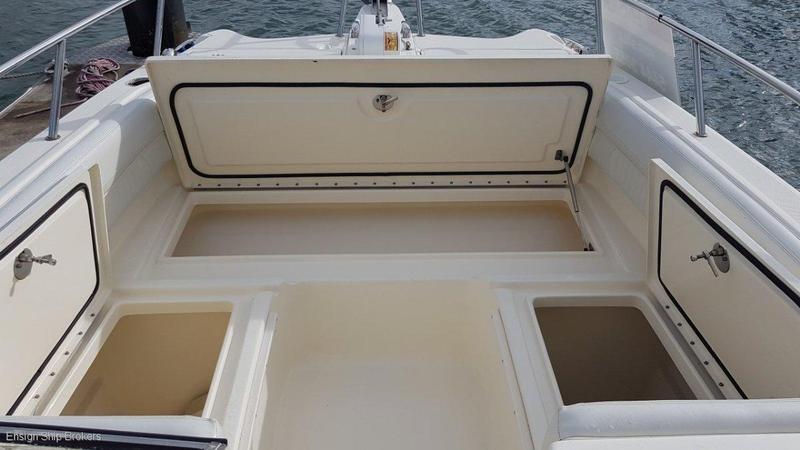 World Cat 250 Dual Console