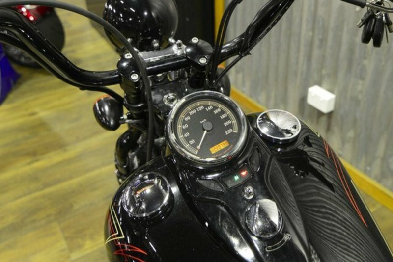 2009 HARLEY-DAVIDSON 1600CC FLSTSB SOFTAIL CROSS BONES MY09