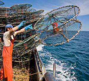 commercial fishing licence permits