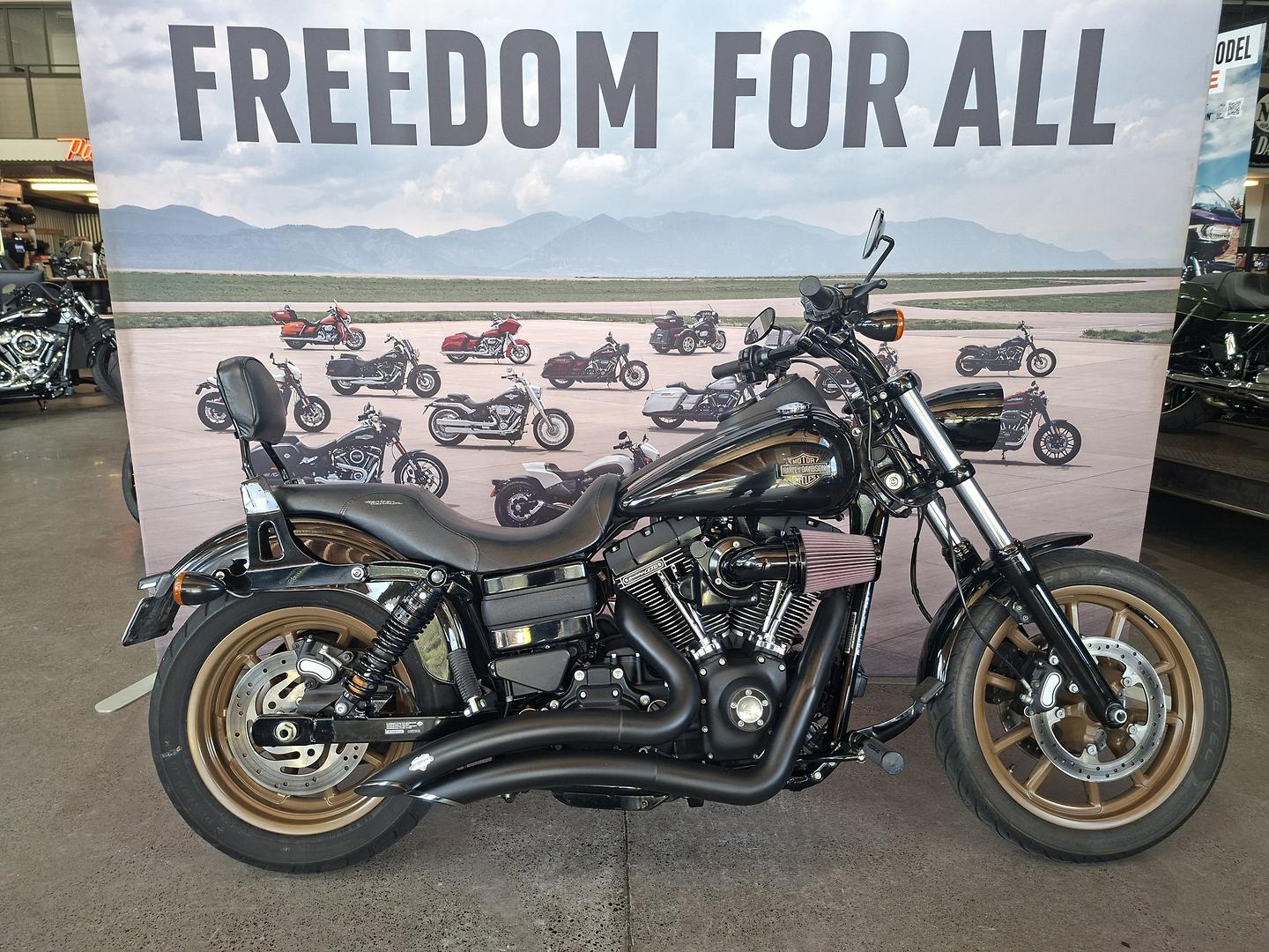2017 harley-davidson fxdls low rider s cruiser