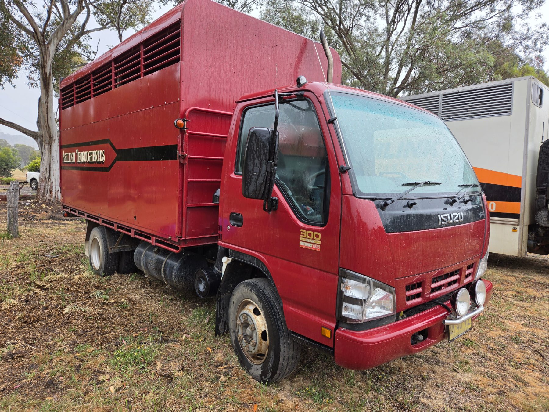 2005 isuzu npr nc 300 medium 5 sp manual c/chas