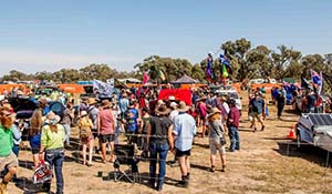 2020 Deni Ute Muster cancelled
