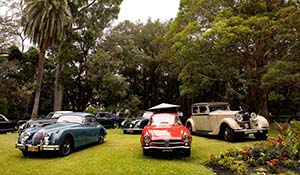 REPORT - 2020 AXA Sydney Harbour Concours d’Elegance