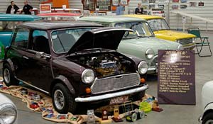 2019 Vic Minishow preview