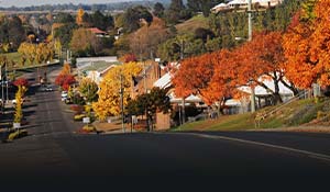 The Freak Show Festival of Motorcycles