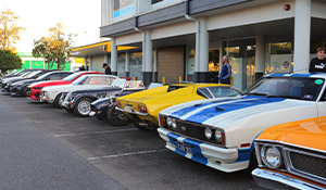 Horses, Bulls, Snakes and Cats at JUST CARS & COFFEE Brisbane