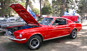 2025 AFD highlight – 1967 ‘T5’ Mustang fastback