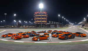 Massive McLaren collection sold