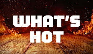 What’s Hot November