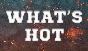What’s Hot November