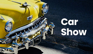 UTES, VANS & WAGONS CAR DISPLAY